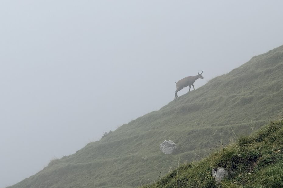 CVJM-Herbstfahrt – diesmal ins Karwendel-Gebirge