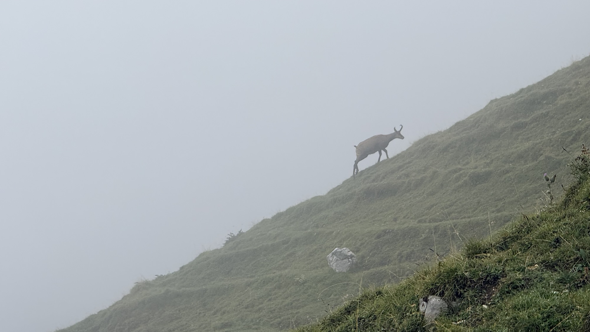 CVJM-Herbstfahrt – diesmal ins Karwendel-Gebirge